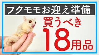 【フクロモモンガ】初心者の方へ｜お迎え時に買うべき用品18選