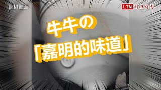 曳引車與小客車相撞 消防員搶救牛牛「嘉明的味道」(翻攝畫面)