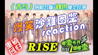 【R1SE哪壶不开提哪壶】reaction④回归！《青鸟》炸了！忆刘也前尘往事，看今朝沙雕男团！出圈！