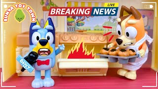 Bluey's News Show 😄 | Fun Play with Bluey Toys | Bunya Toy Town