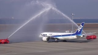 【Inaugural Flight】 ANA Boeing 787-8 Dreamliner JA812A at Nagoya