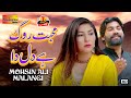 Mohabbat Rog Hai Dil Da | Mohsin Ali Malangi | ( Official Video ) | Shaheen Studio