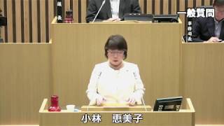 平成３０年６月定例会　小林恵美子議員