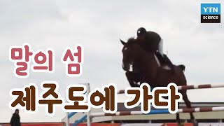 말의 섬 제주도에 가다 / YTN 사이언스