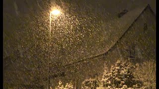 Starker Schneefall in Gerolstein/Eifel  -  08. Januar 2022