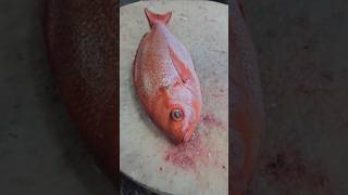 Tomato Pink Perch Fish Fastest Cutting Skills#shorts