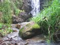 walk to the waterfall yarragon june 2013