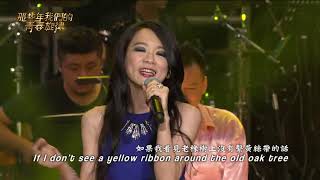 【電視台節目】那些年我們的青春旋律- Tie A Yellow Ribbon Round The Old Oak Tree - 棻蘭