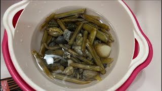 ビーチコーミング part13 貝殻拾い　海　シーグラス　マテ貝　潮干狩りbeachcomber shell beachcombing beach glass