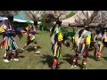 kochia dancers