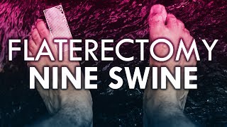 Flaterectomy - Nine Swine