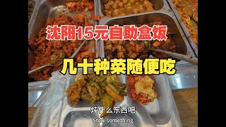 沈阳15元自助盒饭，几十种菜随便吃，看看怎么样