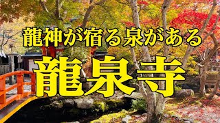 龍神が宿る泉がある 龍泉寺