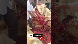 THURSDAY BYADAGI DRY RED CHILLIES APMC MARKET KARNATAKA INDIA 🌶️ REPORT IN 🙆🏻🥵#shorts#youtubeshorts