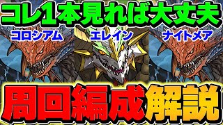 【ガチャ3回】フェス限ヒロイン周回編成3パターン解説！条件全対応！コロシアム！エレイン！ナイトメア！【パズドラ】