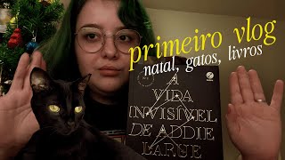 primeiro vlog | decoração de natal, gatos, livros e home office