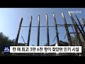 뉴스 리포트 화재난 양양 송이밸리 목재체험장 다시 짓는다 220126