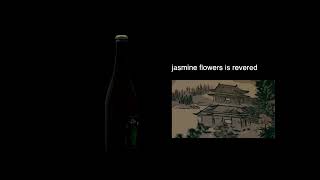 Green Jasmine Tea Story