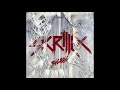 Skrillex - Right In (Prerelease Demo)