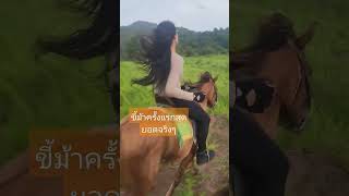 ขี่ม้าครั้งแรก | ขี่ม้าครั้งแรก | สอนขี่ม้า |ณัฐชนันฟาร์ม