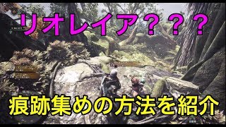 【ＭＨＷ】リオレイア？？？の痕跡集め方法！