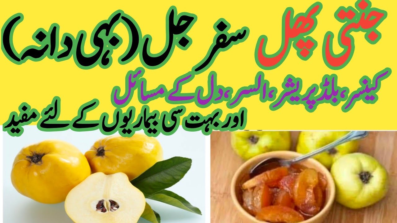 Bahi Dana Quince Fruit Benefits ||Benefits Of SafarJal||Bahi Dana Khane ...