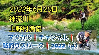 数も狙える!?涼しい清流!!神流川、上野村漁協。鮎釣りスパーク!2022（4）