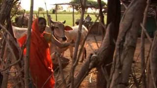 NREGA-MP--Five Short Films on MGNREGA--