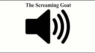 The SCReaMING GOaT | meme sound | sound effect HD