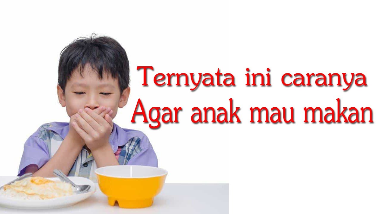 WA: 0857-1874-1833 | Cara Mudah Mengatasi Anak Susah Makan - YouTube