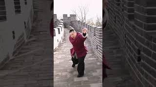 八极拳传武人 一起学习八极拳 #wushu #kungfu #martialarts