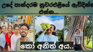 Nuwara Eliya_  Vlog part 2 #  කට්ටියව හලලා අපි ගියේ කොහෙද???