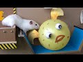 Hamster Maze - Great Escape