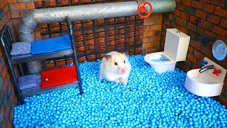 Hamster Maze - Great Escape