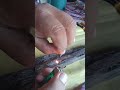 my agarwood or lapnisan need buyer