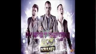 SoulKey ft Yaniv Gezz \u0026 Impact - My Heart Shouting (Don D Mash UP)