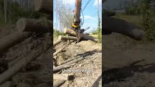 Hydraulic Material Handling Made Easy: The Ultimate Automatic Log Grabber!