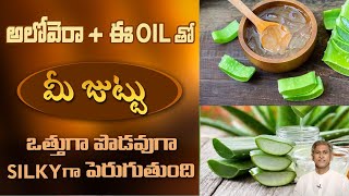 Aloe Vera and Oil for Long and Smooth Hair | Get Thick and Silky Hair | Dr.Manthena's Beauty Tips