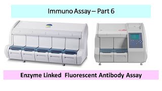 Enzyme Linked Fluorescent Antibody Assay - ELFA