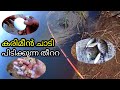 Fishing Malayalam -- Fishing Bite
