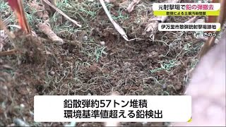 散弾銃射撃場跡地の鉛の弾を撤去 土壌汚染が問題  1時間で約3トン回収【佐賀県伊万里市】 (22/02/18 16:35)