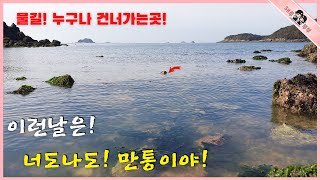 돌밑에 와글와글 대박나는날!