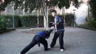 Fu Style Yin Bagua Zhang Application part 2 傅振嵩八卦掌陰八卦用法 (下)