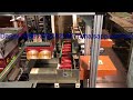 fully automatic boxing robot cartoning machine 全自動裝盒裝箱機