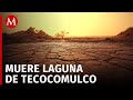 En Hidalgo, la laguna de Tecocomulco se está secando; cuanta con un 25% de agua