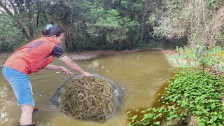 ดักกุ้ง!!หนองกลางดง!!กุ้งขาวเเตกซวดๆหมานกุ้งขาวงามๆ!!12/3/67🦞🦞🦐🦐