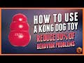 How to Use Kong Toys to Help Enrich Your Dog's Life (And Improve Behavior)