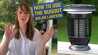 How to Use the 4Patriots BugOUT Solar Lantern