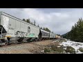 awesome cp 8108 cefx 1006 7018 301 at castle mountain 4 01 21