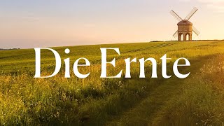 Die Ernte [Lyric Video] - Matthias Jäger ft. Jenny Spenst